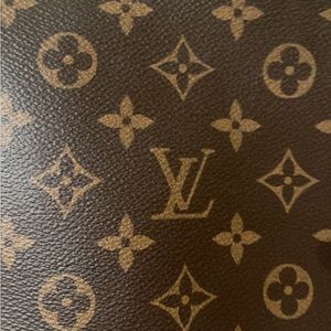 Authentic LV BAG - no dust cover - BRAND NEW